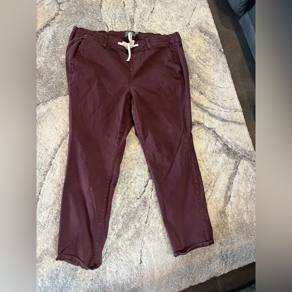 Torrid Maroon Relaxed Pants with Drawstring size 2S